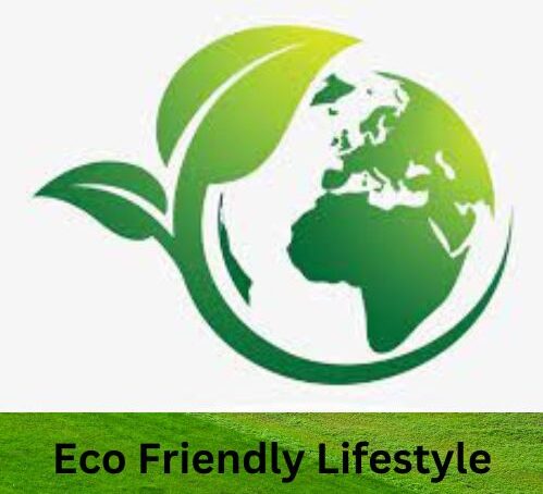 eco-friendlylifestyle.com